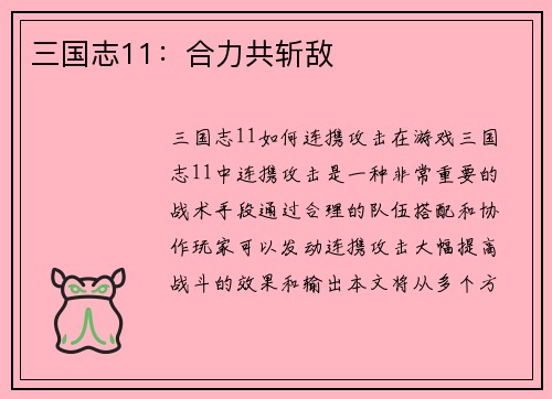 三国志11：合力共斩敌