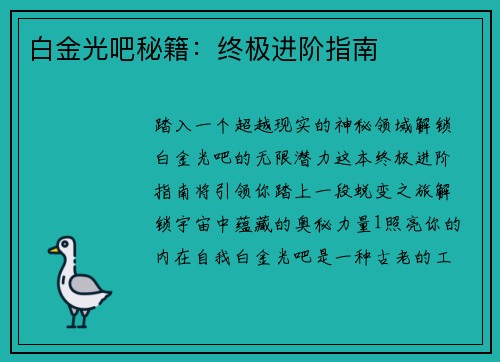 白金光吧秘籍：终极进阶指南